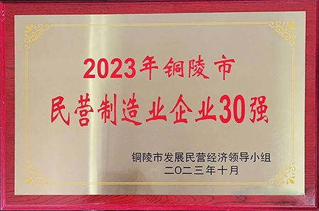 2023.11.1-2023年铜陵市民营企业50强 - 副本.jpg